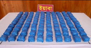 নাইক্ষ্যংছড়ি সীমান্তে বিজিবির বড় সাফল্য, ৩ কোটি টাকার বেশি মূল্যের ইয়াবা উদ্ধার