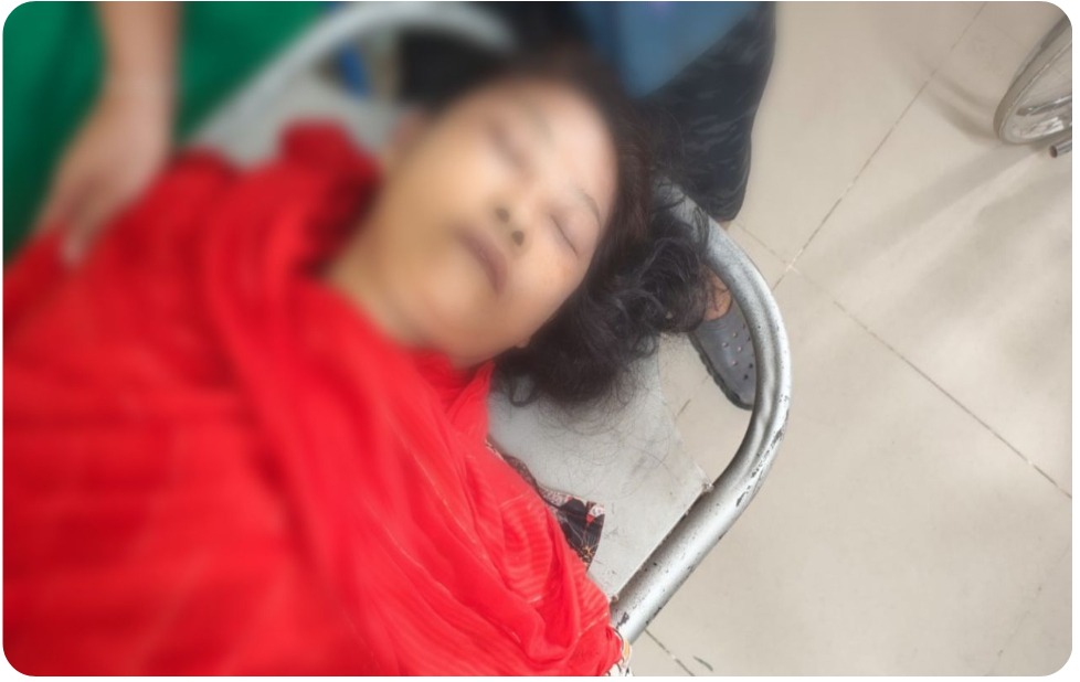 নানিয়াচরে জাম পাড়তে গিয়ে বিদ্যুৎস্পৃষ্টে প্রাণ গেল প্রাথমিক বিদ্যালয়ের শিক্ষিকার