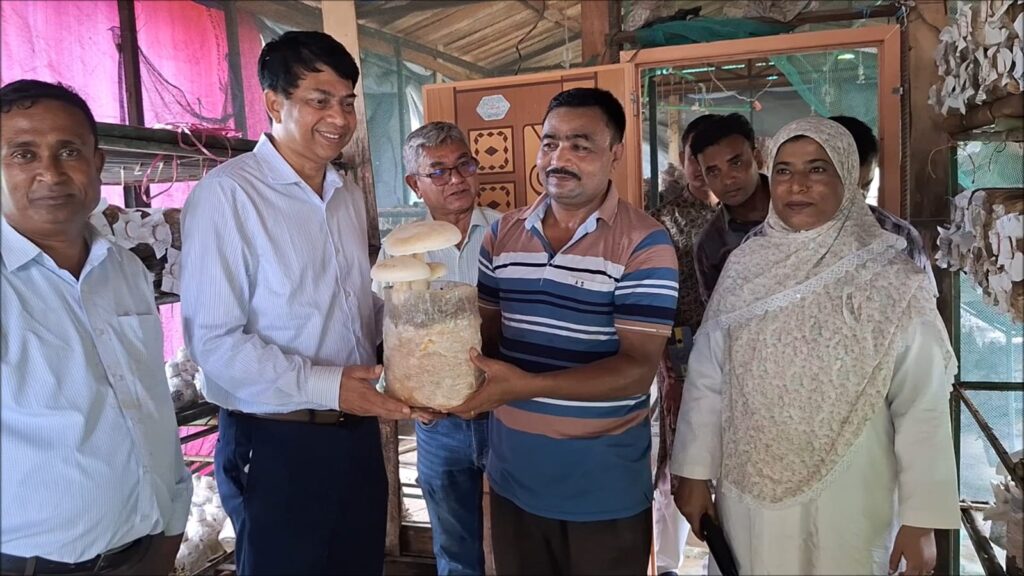 বান্দরবানে মাশরুম চাষ সম্প্রসারণে উদ্যোক্তা ও চাষীদের সঙ্গে মতবিনিময় সভা