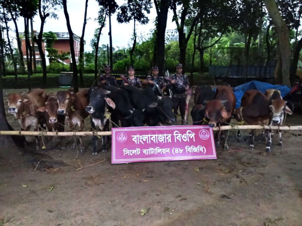 সিলেট সীমান্তে বিজিবির অভিযানে ২১ লাখ টাকার চোরাচালান পণ্য জব্দ