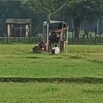 লালমনিরহাট সীমান্ত দিয়ে ৩৩ জনকে পুশ-ইনের চেষ্টা বিএসএফের, আটকে দিল বিজিবি