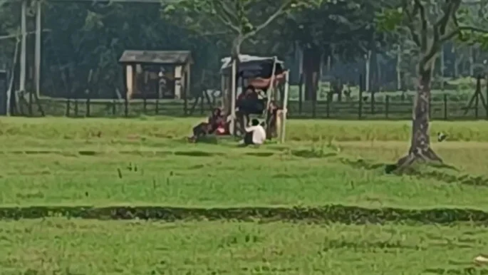 লালমনিরহাট সীমান্ত দিয়ে ৩৩ জনকে পুশ-ইনের চেষ্টা বিএসএফের, আটকে দিল বিজিবি
