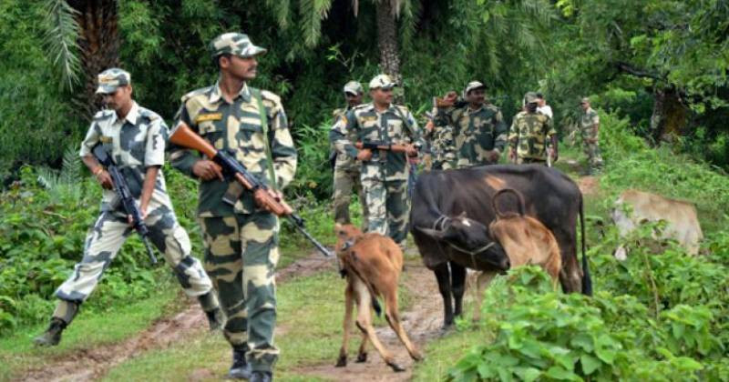বেড়ার এপারে চলে আসবে মেঘালয়ের গ্রাম, বিচ্ছিন্ন হওয়া ঠেকাতে ঢাকার দ্বারস্থ দিল্লি