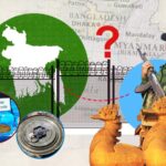 প্রতিবেশী মিয়ানমার সীমান্তে কেন বেড়া দিচ্ছে বাংলাদেশ?