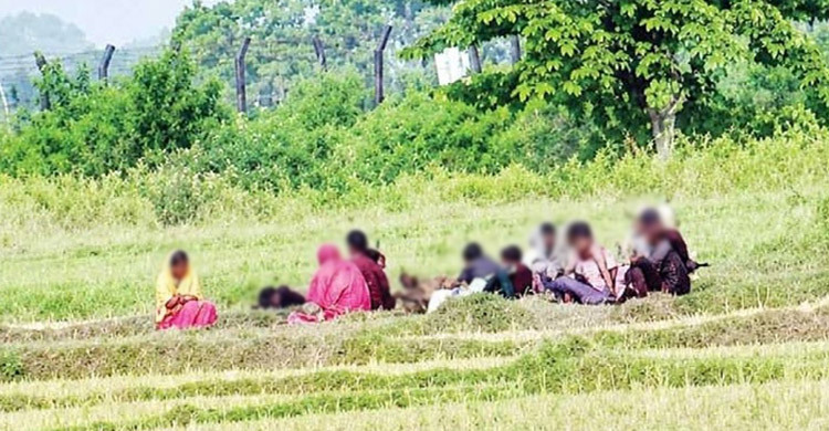 পুশইনের চেষ্টা করা সেই ১০ জনকে সীমান্ত থেকে সরিয়ে নিলো বিএসএফ