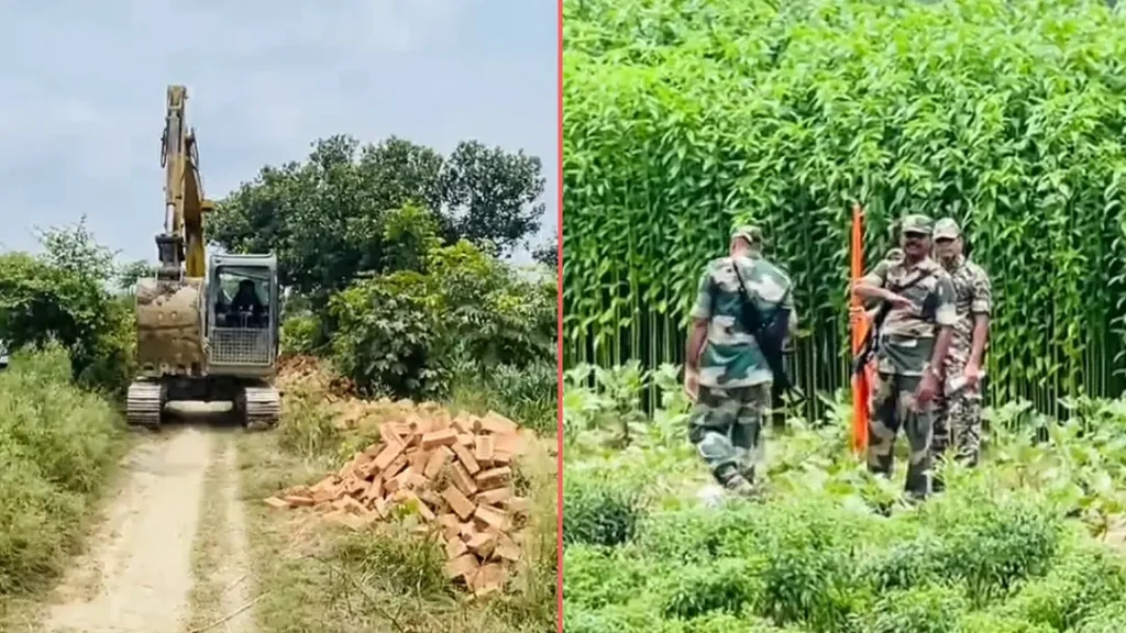 মেহেরপুর সীমান্তে এইচবিবি সড়ক নির্মাণে বিএসএফের বাধা