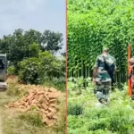 মেহেরপুর সীমান্তে এইচবিবি সড়ক নির্মাণে বিএসএফের বাধা