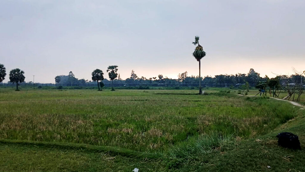 নওগাঁ সীমান্তে ৯ জনকে পুশ ইনের চেষ্টা ব্যর্থ, পরে ফিরিয়ে নেয় বিএসএফ