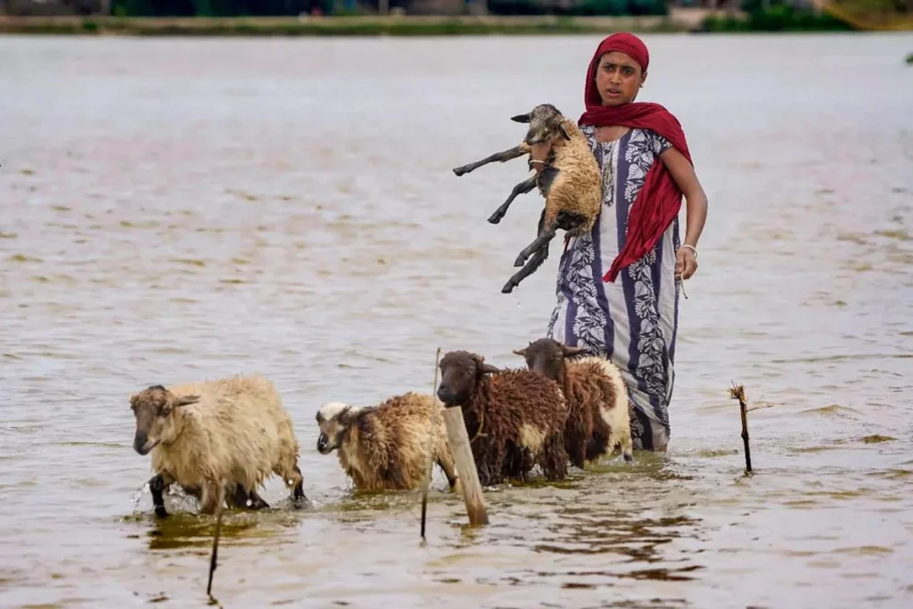 ভারতের আসামে বন্যা পরিস্থিতির অবনতি, নিহত ৪