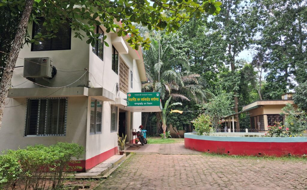 আলুটিলার হারানো সবুজ ফেরাতে ৩৫ একরজুড়ে বন ও বাঁশবাগান গড়ে তোলার পরিকল্পনা