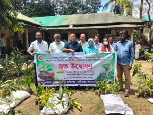 মাটিরাঙ্গায় কৃষকদের মাঝে বিনামূল্যে চারা, সার ও কৃষি উপকরণ বিতরণ শুরু