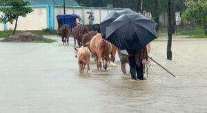 কক্সবাজারে বিশুদ্ধ পানি ও খাবারের সংকট; দুর্গম এলাকায় এখনো পৌঁছেনি ত্রাণ