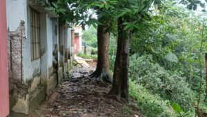 পাহাড় ধসে ঝুঁকিতে নানিয়ারচর পুনর্বাসন সরকারি প্রাথমিক বিদ্যালয়, আতঙ্কে শিক্ষক-শিক্ষার্থীরা