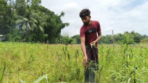 আলীকদমে পাহাড়ি ঢলে কৃষিতে কোটি টাকার ক্ষতি, দিশেহারা শত শত কৃষক