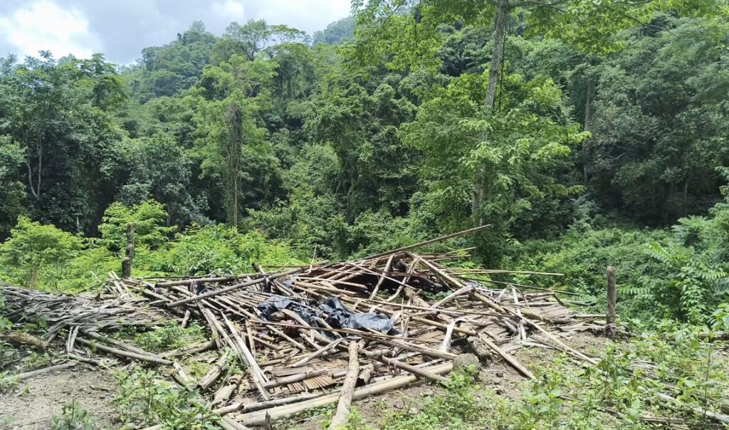 আলীকদমে ভেঙে পড়া স্কুলে ফিরছে প্রাণ, নতুন ভবনে আবারও স্বপ্ন বুনবে ম্রো শিশুরা