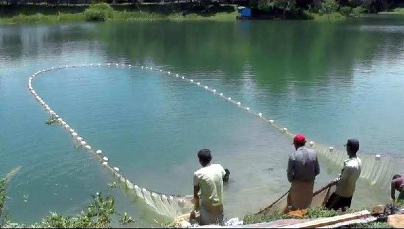 কাপ্তাই লেকে অবৈধ মাছ শিকারবিরোধী অভিযান, ৪ নৌকা ও ২০ হাজার বর্গফুট জাল জব্দ