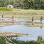 লালমনিরহাট সীমান্তে আটক তিন ভারতীয়কে ফেরত পাঠালো বিজিবি