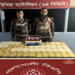 কক্সবাজারের উখিয়া সীমান্তে পাঁচ বস্তায় মিলল ৬ লাখ ৭২ হাজার ইয়াবা