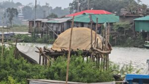 ১০৫ দিনের নিষেধাজ্ঞা শেষে কাপ্তাই হ্রদে ফিরছে প্রাণচাঞ্চল্য, মাছ শিকারে প্রস্তুত জেলেরা