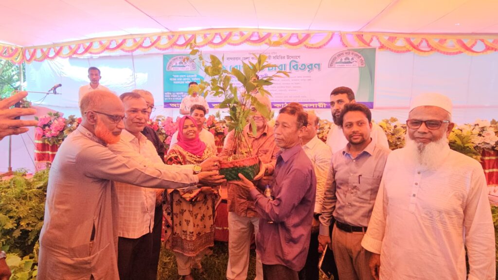 বন্যার পর পাহাড়ধসের ঝুঁকি কমাতে রোয়াংছড়িতে ২০ হাজার চারা বিতরণ