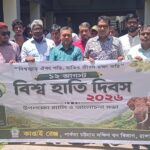 বিশ্ব হাতি দিবসে কাপ্তাইয়ে র‍্যালি ও আলোচনা সভা, গাছের চারা বিতরণ