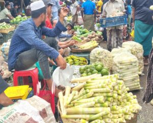 হাতির খাবার যাচ্ছে বাজারে, বাড়ছে মানুষ-হাতি দ্বন্দ্ব