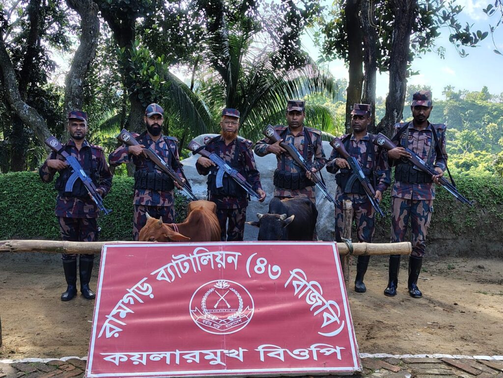 চট্টগ্রামের ভূজপুর সীমান্তে ৪৩ বিজিবির অভিযানে দুটি ভারতীয় গরু আটক