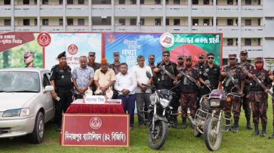 দিনাজপুরে বিজিবি ও র‍্যাবের অভিযানে প্রায় ৩৯ কোটি টাকা মূল্যের সাপের বিষ উদ্ধার