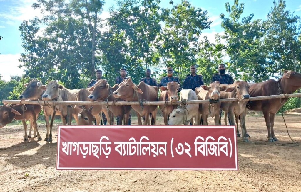 খাগড়াছড়ি সীমান্তে বিজিবির অভিযান, ১৬ ভারতীয় গরু আটক