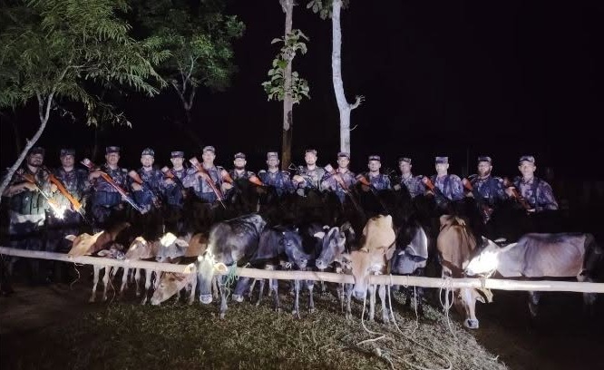 মাটিরাঙ্গা সীমান্তে বিজিবির অভিযানে ৭ লাখ ৪০ হাজার টাকার ১৩টি ভারতীয় গরু আটক