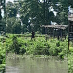 কুষ্টিয়া সীমান্তে মানসিক ভারসাম্যহীন ব্যক্তিকে পুশইনের চেষ্টা, বিজিবির বাধা