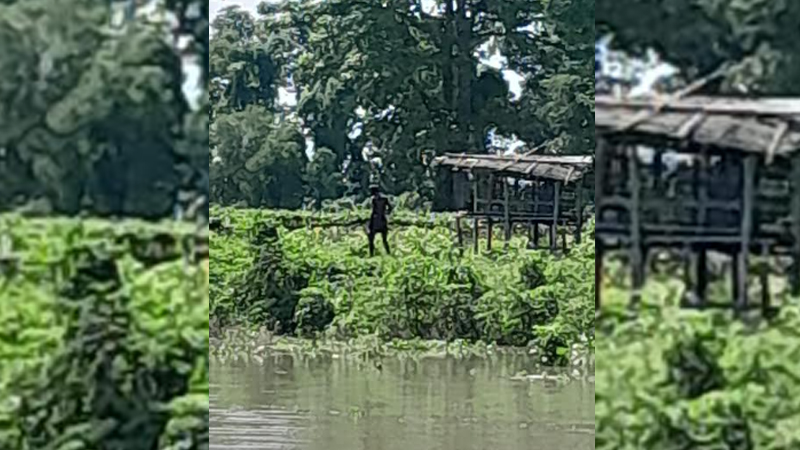 কুষ্টিয়া সীমান্তে মানসিক ভারসাম্যহীন ব্যক্তিকে পুশইনের চেষ্টা, বিজিবির বাধা