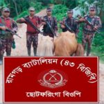 মীরসরাইয়ে বিজিবির অভিযানে ৩ ভারতীয় গরু আটক