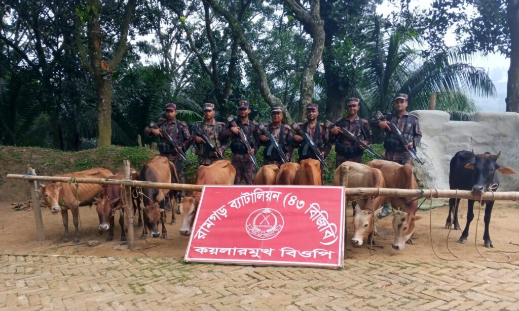 ফটিকছড়ি সীমান্তে ১০ ভারতীয় গরু আটক করল বিজিবি