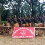 ফটিকছড়ি সীমান্তে ১০ ভারতীয় গরু আটক করল বিজিবি