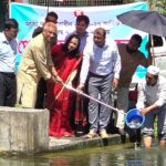 উখিয়ায় ৩৯ প্রাতিষ্ঠানিক পুকুরে ২০০ কেজি পোনা অবমুক্ত