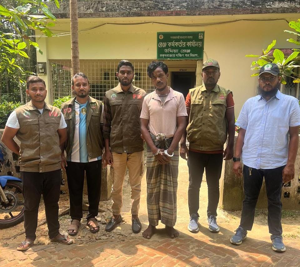 উখিয়ায় রাতের আঁধারে বনাঞ্চলের গাছ কাটার সময় একজন গ্রেপ্তার