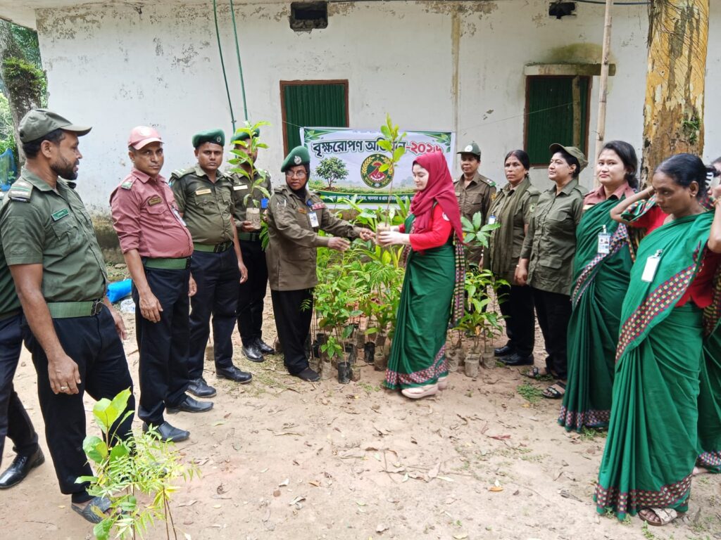 কাপ্তাইয়ে আনসার-ভিডিপির উদ্যোগে ৮০টি গাছের চারা রোপণ ও বিতরণ