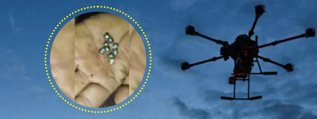 মিয়ানমার-অধিকৃত নাগাল্যান্ডে ড্রোন হামলার অভিযোগ, স্বাধীন তদন্ত দাবি নাগা ছাত্র সংগঠনের