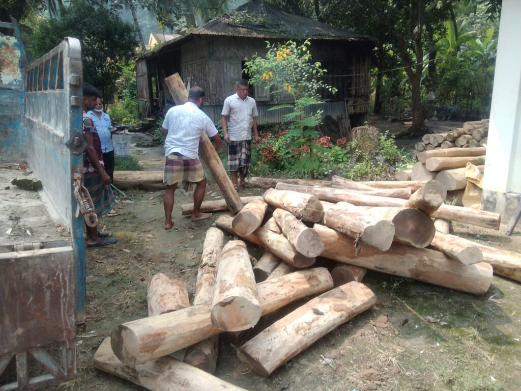 পার্বত্য চট্টগ্রামে বিজিবির অভিযানে প্রায় ১৯ লাখ টাকার কাঠ, ইয়াবা ও চোরাচালানি পণ্য জব্দ