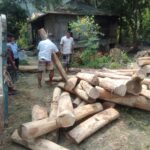 পার্বত্য চট্টগ্রামে বিজিবির অভিযানে প্রায় ১৯ লাখ টাকার কাঠ, ইয়াবা ও চোরাচালানি পণ্য জব্দ