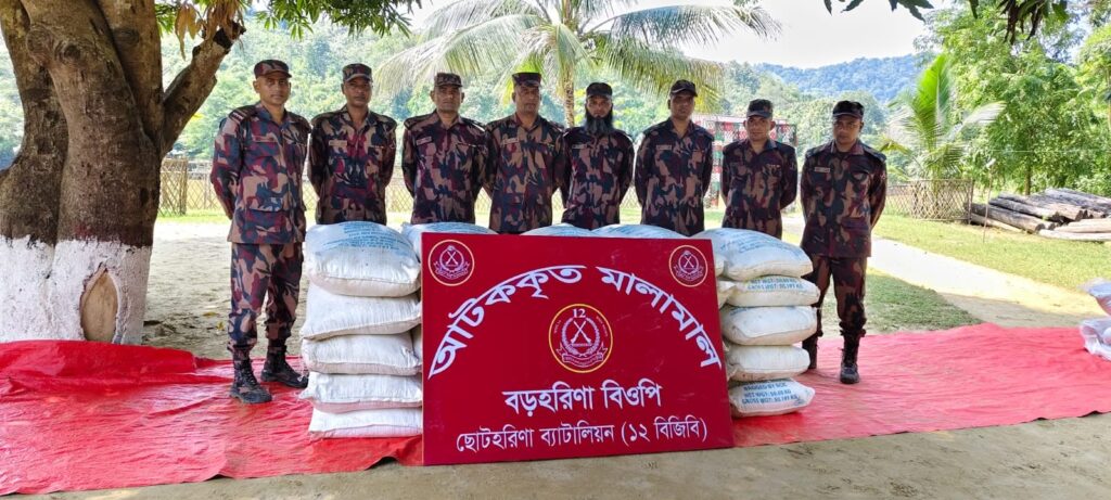 ছোটহরিণায় বিজিবির অভিযানে সেগুন কাঠ, বাংলা মদ ও ইউরিয়া সার জব্দ