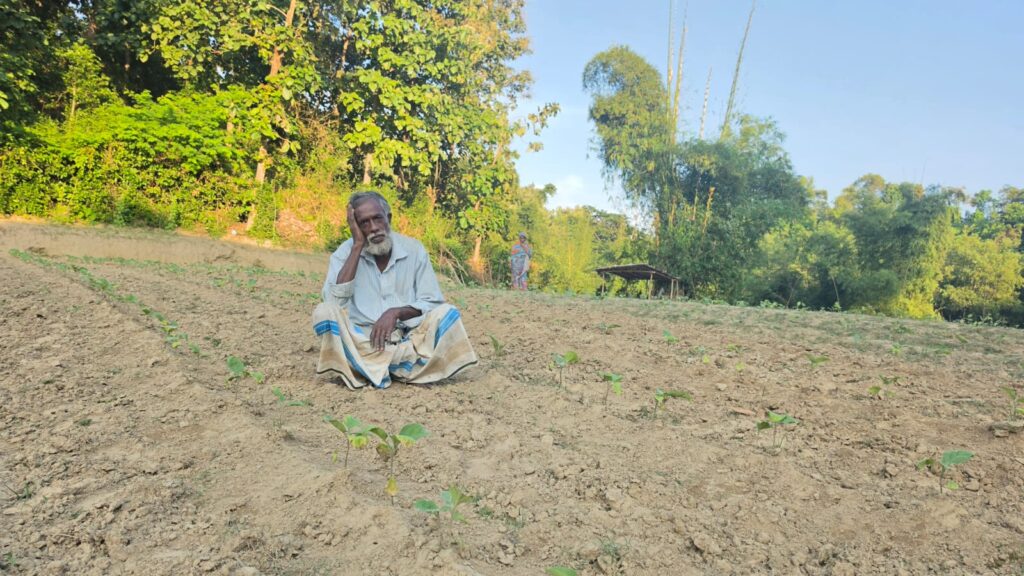 ঘুষ না দেওয়ায় কৃষকের সবজি ক্ষেত নষ্টের অভিযোগ বন বিভাগের বিরুদ্ধে