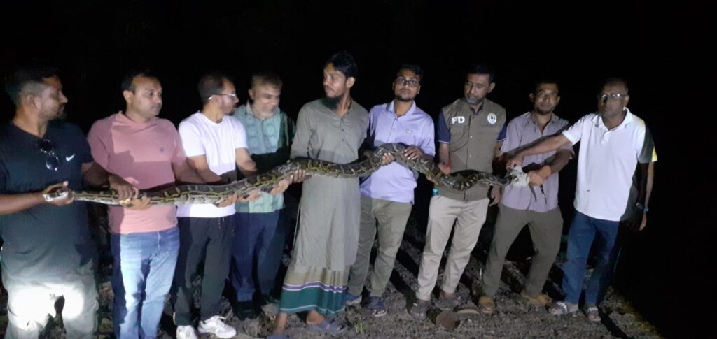 রাঙ্গুনিয়ার জনাকীর্ণ বাজারে ১৪ ফুটের অজগর, রাতে অবমুক্ত কাপ্তাইয়ের বনে