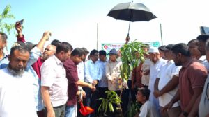 রামগড়ে বৃক্ষরোপণ কর্মসূচির উদ্বোধন করলেন ওয়াদুদ ভূঁইয়া এমপি