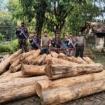 আলীকদমে বিজিবির অভিযানে সাড়ে ৩ লাখ টাকার সেগুন কাঠ জব্দ
