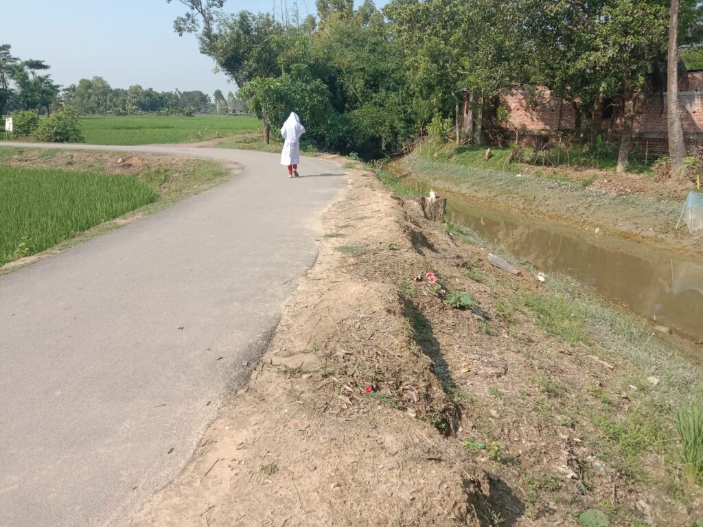 পেকুয়ার সড়ক ও খালের পাড়ে উধাও গাছপালা, ছায়াহীন পথে ভোগান্তিতে শিক্ষার্থীরা